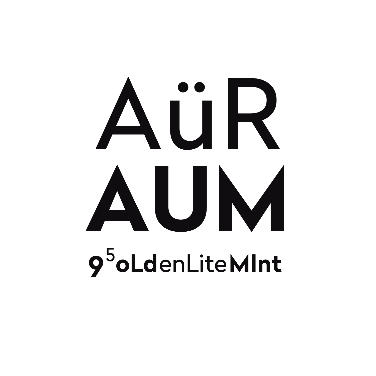 AüRAUM Black Logo_1734688699.
